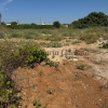 Parcela de 2.000 m2 en Venta Tocino con 4 escrituras independientes